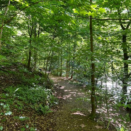 Villa Pangea Bad Lauterberg Exteriör bild