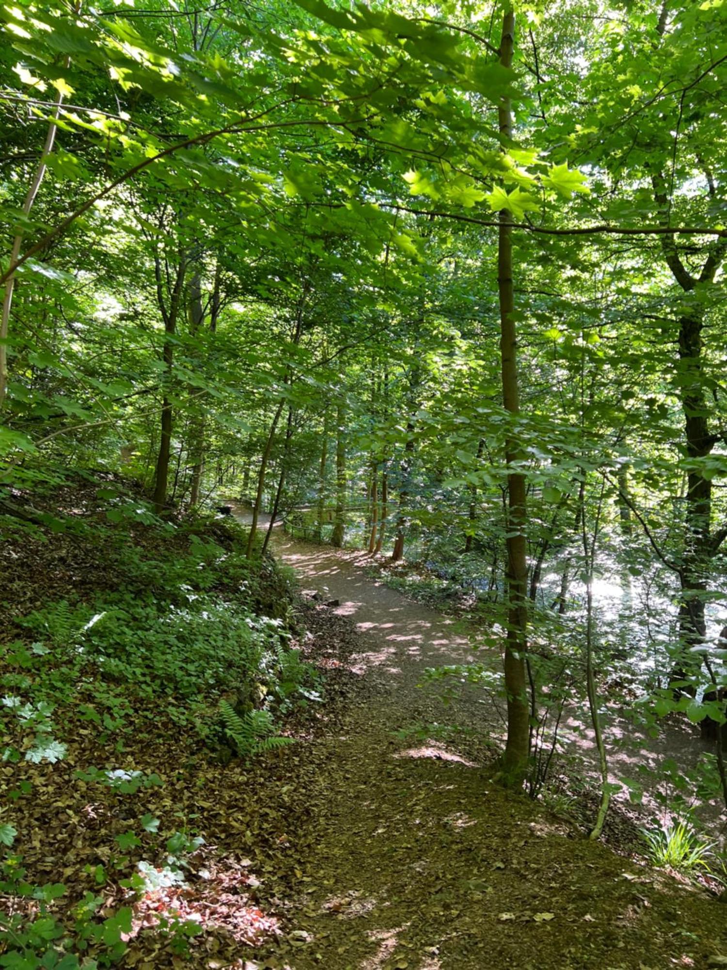 Villa Pangea Bad Lauterberg Exteriör bild