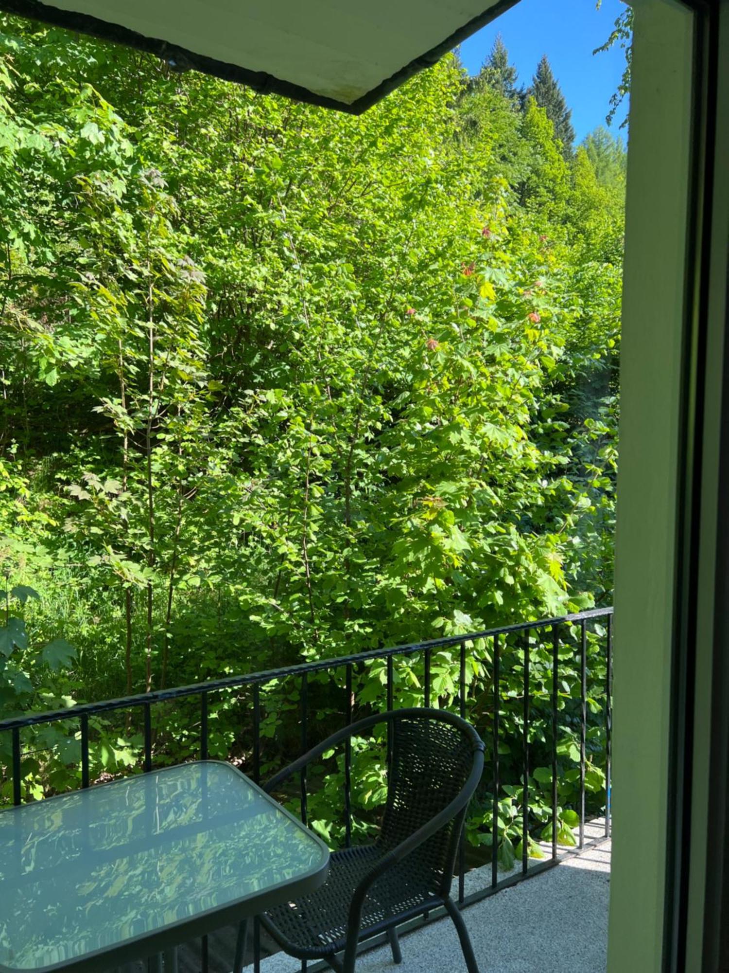 Villa Pangea Bad Lauterberg Exteriör bild