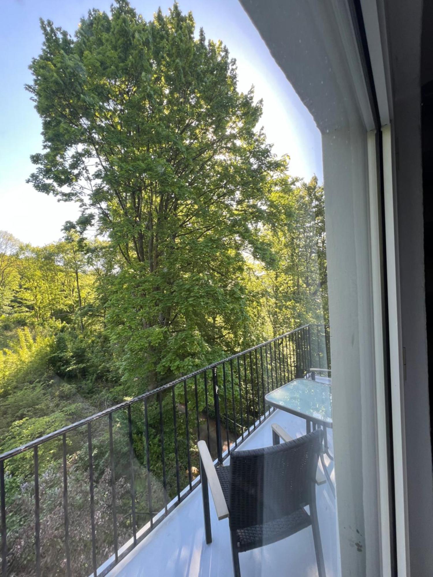 Villa Pangea Bad Lauterberg Exteriör bild
