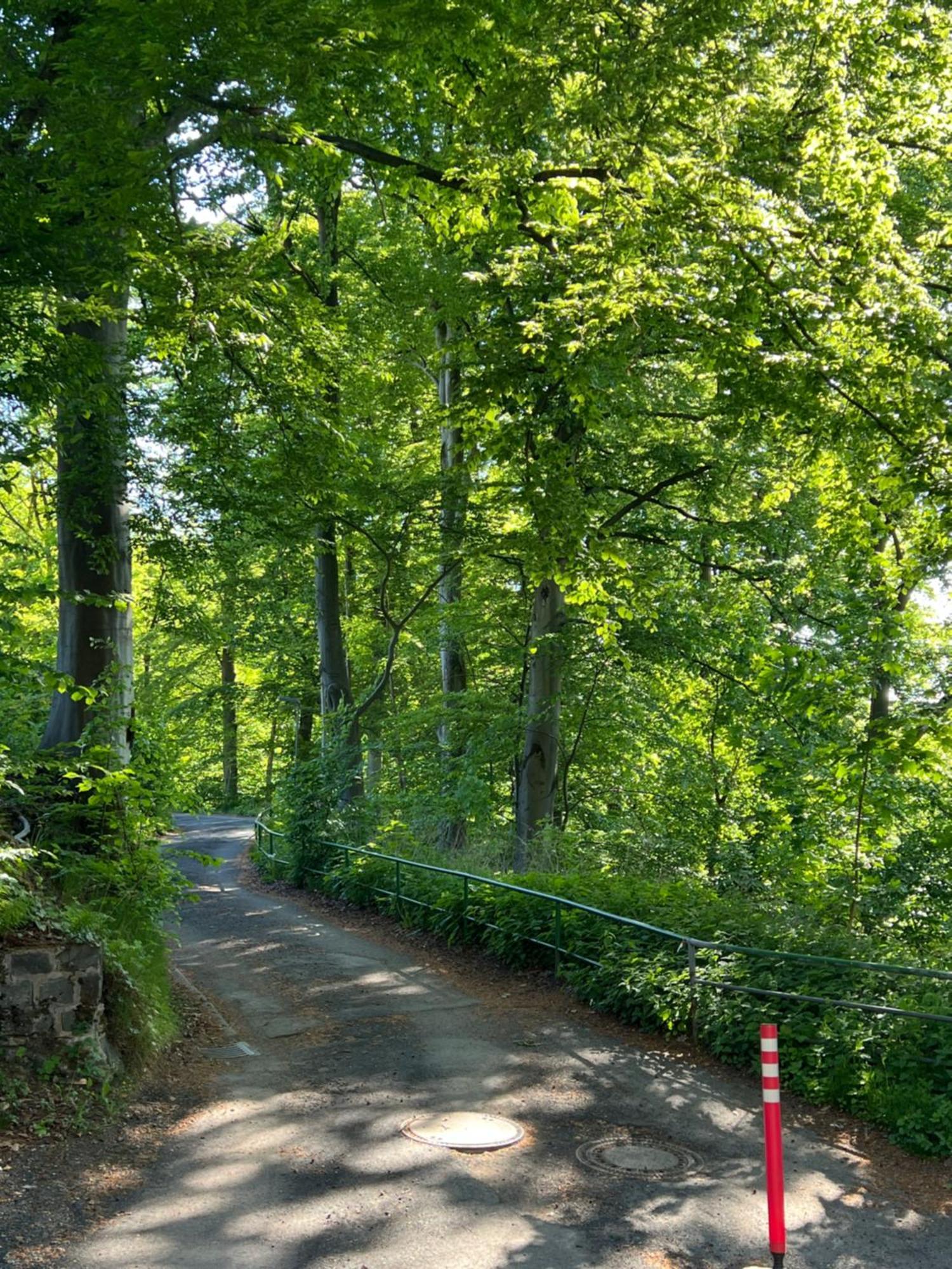 Villa Pangea Bad Lauterberg Exteriör bild