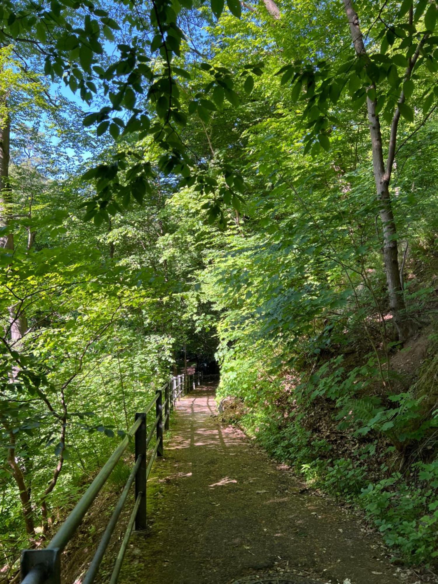 Villa Pangea Bad Lauterberg Exteriör bild