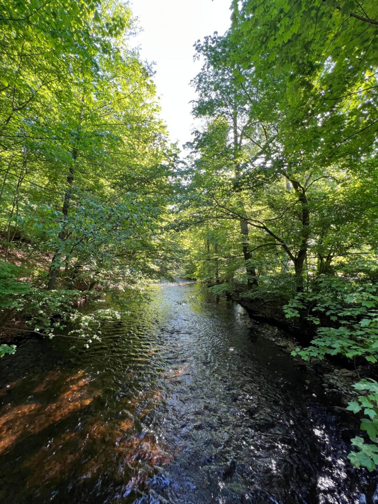 Villa Pangea Bad Lauterberg Exteriör bild